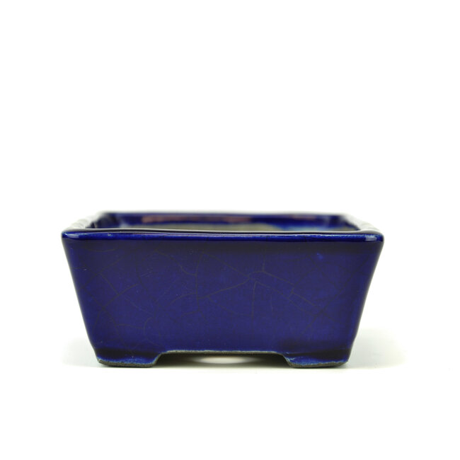 Vaso bonsai rettangolare blu di Terahata Satomi Mazan - 157 x 128 x 55 mm