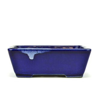  Satomi Mazan, Mazan Terahata 157 mm rectangular blue bonsai pot by Terahata Satomi Mazan, Tokoname, Japan