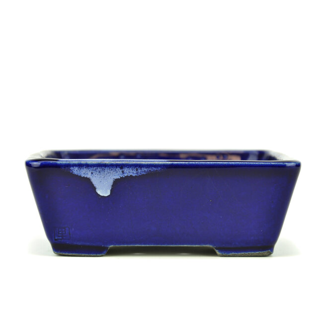 Maceta de bonsai rectangular azul de Terahata Satomi Mazan - 157 x 128 x 55 mm
