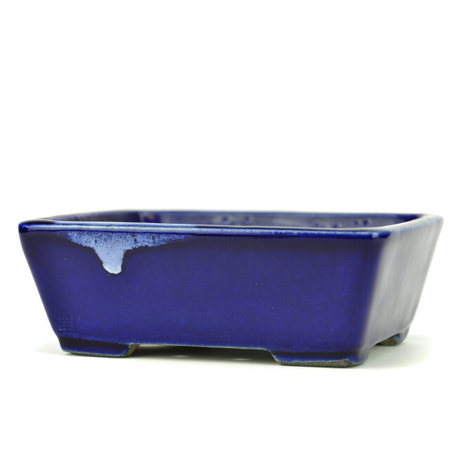 Rechthoekige blauwe bonsaipot van Terahata Satomi Mazan - 157 x 128 x 55 mm