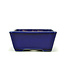 Rectangular blue bonsai pot by Terahata Satomi Mazan - 157 x 128 x 55 mm