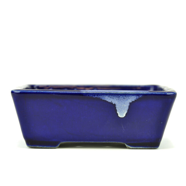 Maceta de bonsai rectangular azul de Terahata Satomi Mazan - 157 x 128 x 55 mm