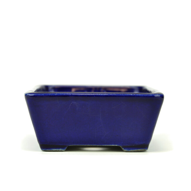 Vaso bonsai rettangolare blu di Terahata Satomi Mazan - 157 x 128 x 55 mm