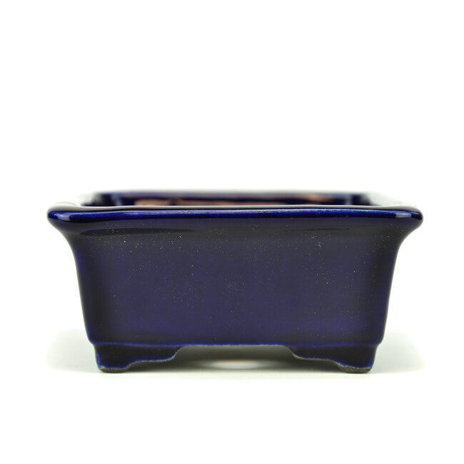 Rectangular blue bonsai pot by Terahata Satomi Mazan - 145 x 135 x 60 mm