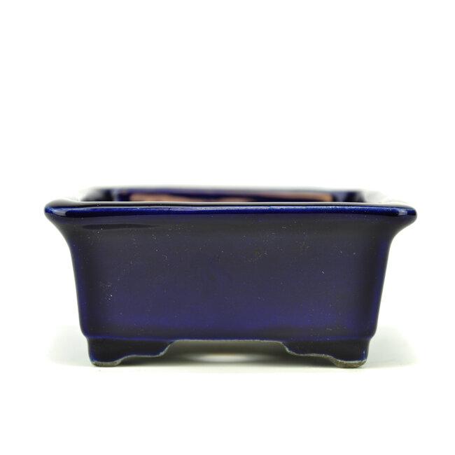 Maceta de bonsai rectangular azul de Terahata Satomi Mazan - 145 x 135 x 60 mm