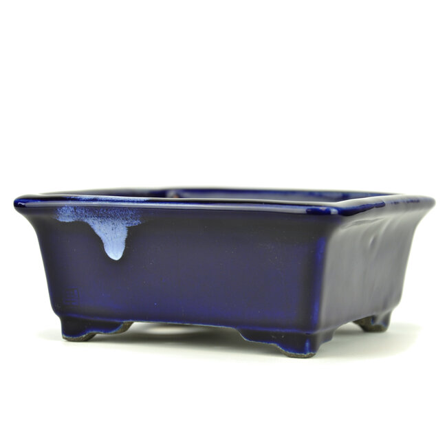 Vaso bonsai rettangolare blu di Terahata Satomi Mazan - 145 x 135 x 60 mm