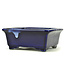 Rectangular blue bonsai pot by Terahata Satomi Mazan - 145 x 135 x 60 mm