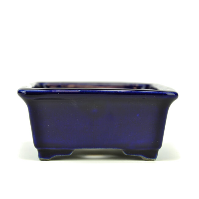 Rectangular blue bonsai pot by Terahata Satomi Mazan - 145 x 135 x 60 mm
