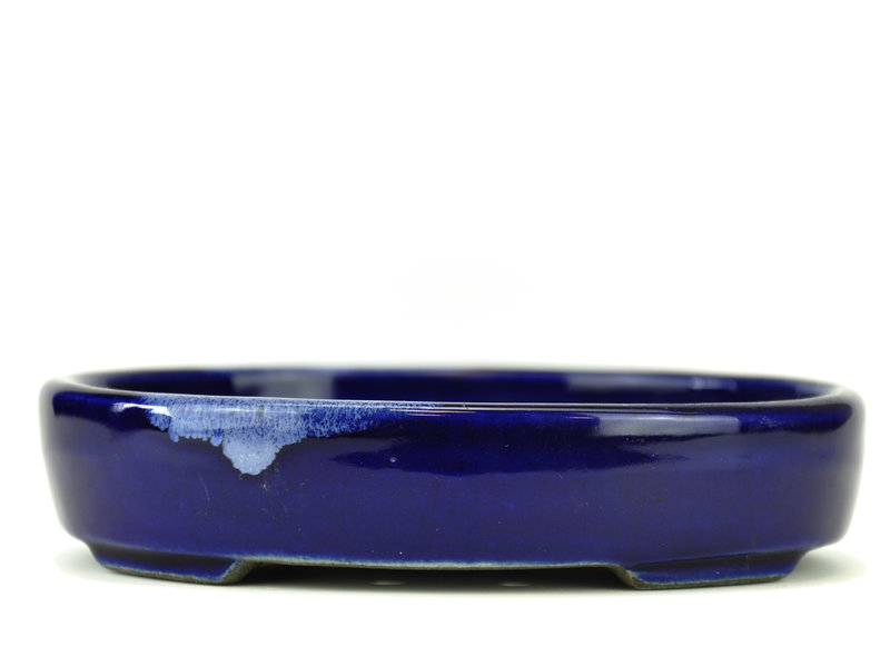 Ovaler blauer Bonsai-Topf von Terahata Satomi Mazan - 155 x 128 x 34 mm