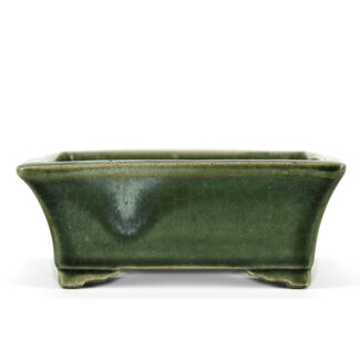  Satomi Mazan, Mazan Terahata 160 mm rectangular green bonsai pot by Terahata Satomi Mazan, Tokoname, Japan