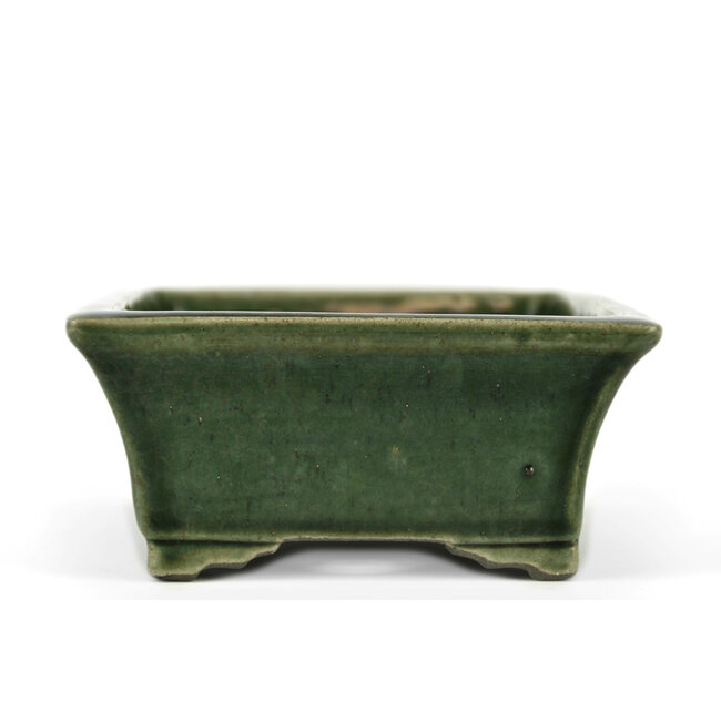 Pot à bonsaï rectangulaire vert par Terahata Satomi Mazan - 160 x 135 x 63 mm