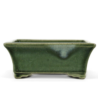  Satomi Mazan, Mazan Terahata 160 mm rectangular green bonsai pot by Terahata Satomi Mazan, Tokoname, Japan