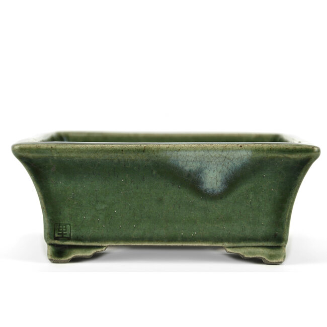 Rectangular green bonsai pot by Terahata Satomi Mazan - 160 x 135 x 63 mm