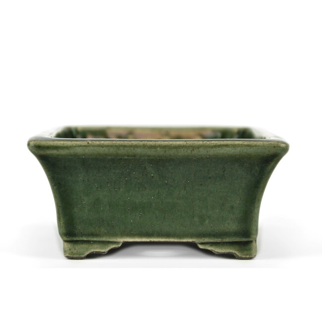 Rechthoekige groene bonsaipot van Terahata Satomi Mazan - 160 x 135 x 63 mm
