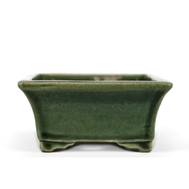 Pot à bonsaï rectangulaire vert par Terahata Satomi Mazan - 160 x 135 x 63 mm