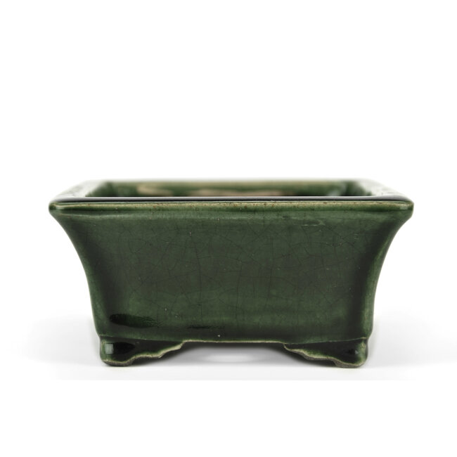 Pot à bonsaï rectangulaire vert par Terahata Satomi Mazan - 160 x 135 x 63 mm
