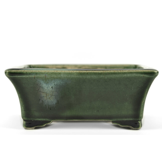 Rectangular green bonsai pot by Terahata Satomi Mazan - 160 x 135 x 63 mm