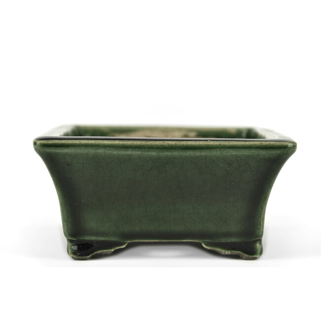 Rechthoekige groene bonsaipot van Terahata Satomi Mazan - 160 x 135 x 63 mm