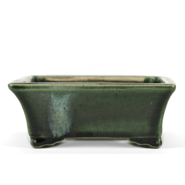 Pot à bonsaï rectangulaire vert par Terahata Satomi Mazan - 160 x 135 x 63 mm