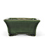 Rectangular green bonsai pot by Terahata Satomi Mazan - 160 x 135 x 63 mm