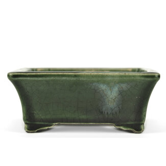  Satomi Mazan, Mazan Terahata 160 mm rectangular green bonsai pot by Terahata Satomi Mazan, Tokoname, Japan