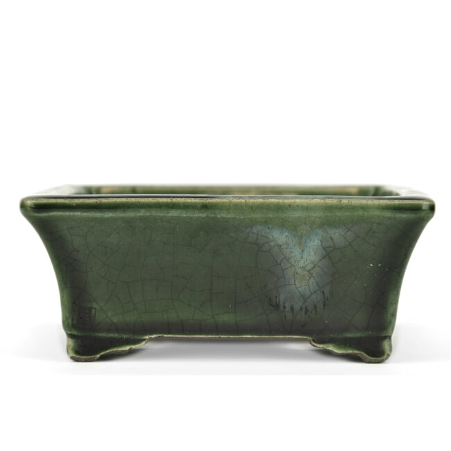 Rectangular green bonsai pot by Terahata Satomi Mazan - 160 x 135 x 63 mm