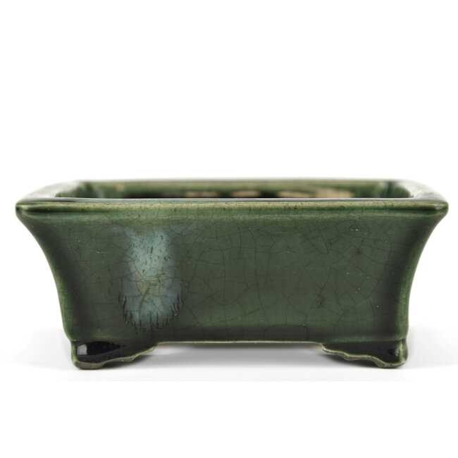 Vaso bonsai rettangolare verde di Terahata Satomi Mazan - 160 x 135 x 63 mm