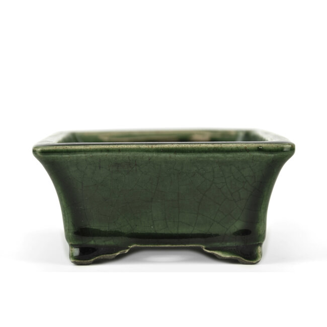 Rechthoekige groene bonsaipot van Terahata Satomi Mazan - 160 x 135 x 63 mm