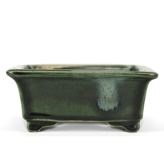  Satomi Mazan, Mazan Terahata 150 mm rectangular green bonsai pot by Terahata Satomi Mazan, Tokoname, Japan