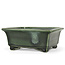 Rectangular green bonsai pot by Terahata Satomi Mazan - 150 x 141 x 63 mm