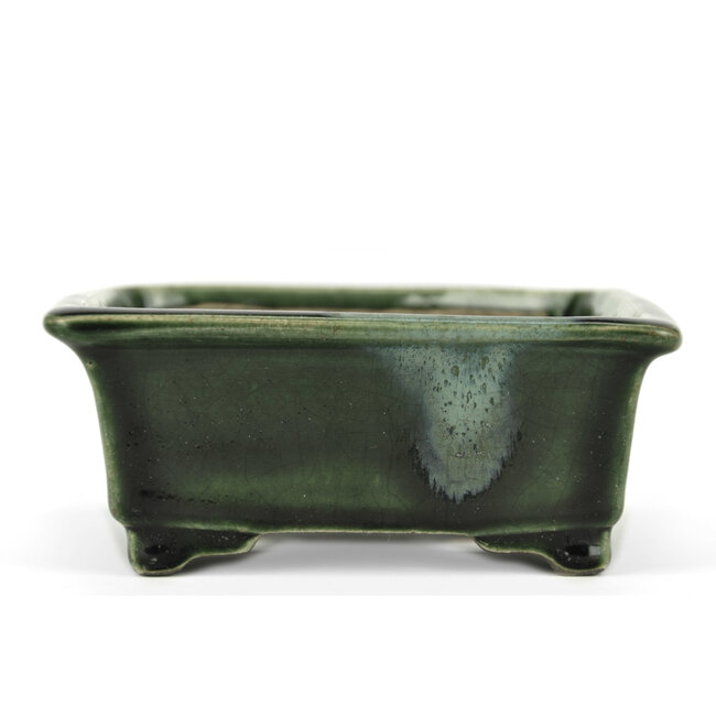 Pot à bonsaï rectangulaire vert par Terahata Satomi Mazan - 150 x 141 x 63 mm