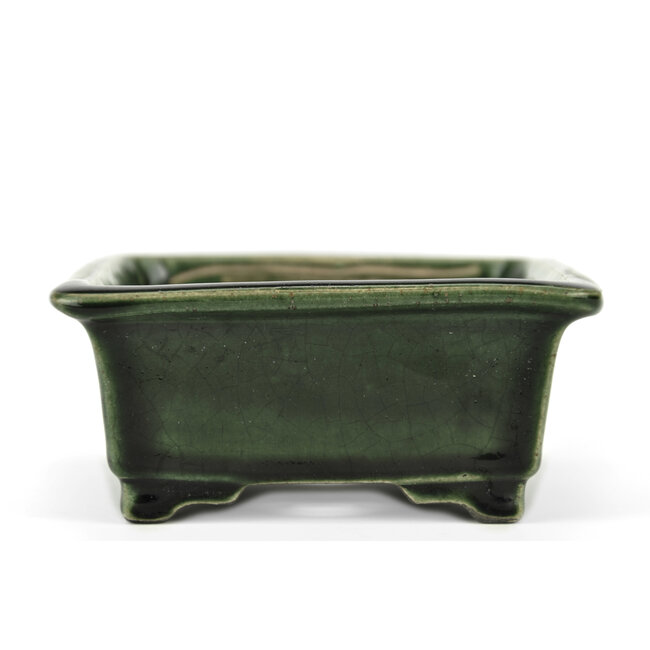 Vaso bonsai rettangolare verde di Terahata Satomi Mazan - 150 x 141 x 63 mm
