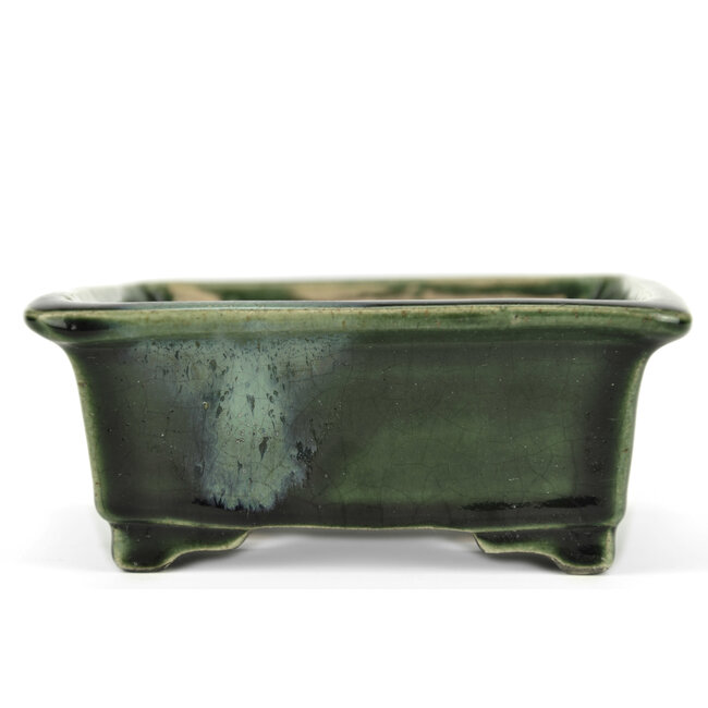 Pot à bonsaï rectangulaire vert par Terahata Satomi Mazan - 150 x 141 x 63 mm