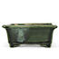 Rectangular green bonsai pot by Terahata Satomi Mazan - 150 x 141 x 63 mm