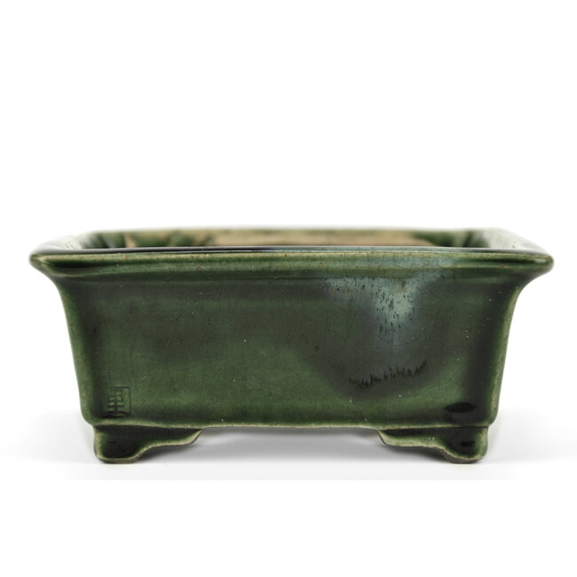 Pot à bonsaï rectangulaire vert par Terahata Satomi Mazan - 150 x 141 x 63 mm