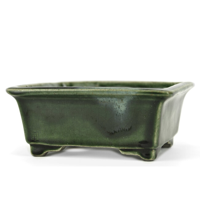Vaso bonsai rettangolare verde di Terahata Satomi Mazan - 150 x 141 x 63 mm