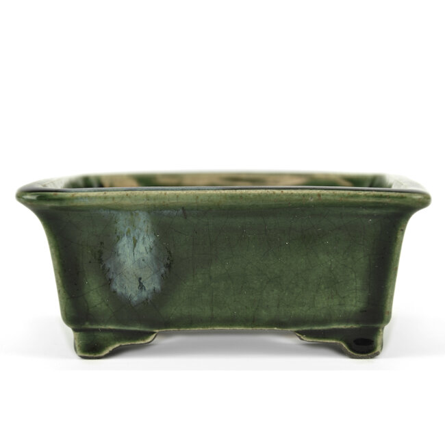 Maceta de bonsai verde rectangular de Terahata Satomi Mazan - 150 x 141 x 63 mm