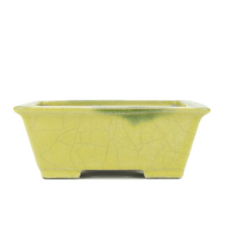 Satomi Mazan, Mazan Terahata 153 mm rectangular yellow bonsai pot by Terahata Satomi Mazan, Tokoname, Japan