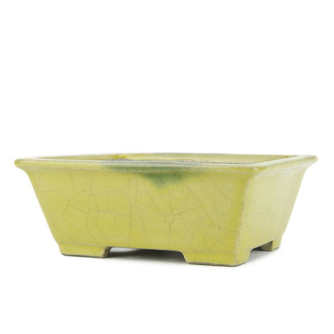 Maceta rectangular para bonsai amarilla de Terahata Satomi Mazan - 153 x 135 x 60 mm