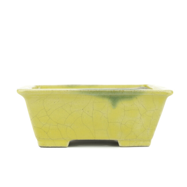 Rectangular yellow bonsai pot by Terahata Satomi Mazan - 153 x 135 x 60 mm