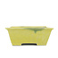 Pot à bonsaï rectangulaire jaune par Terahata Satomi Mazan - 153 x 135 x 60 mm