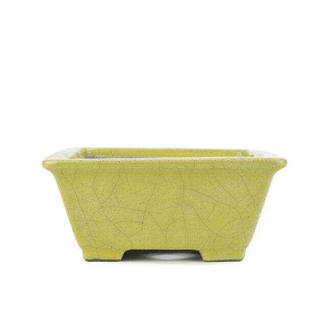 Rectangular yellow bonsai pot by Terahata Satomi Mazan - 153 x 135 x 60 mm