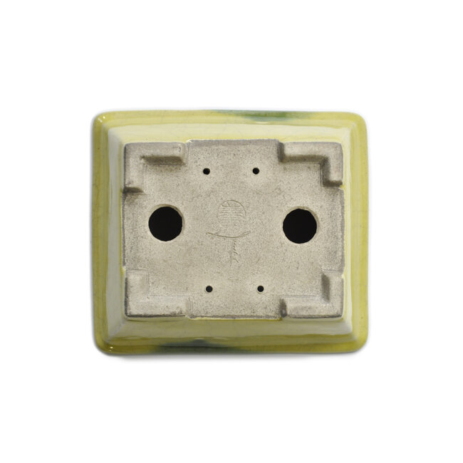 Maceta rectangular para bonsai amarilla de Terahata Satomi Mazan - 153 x 135 x 60 mm