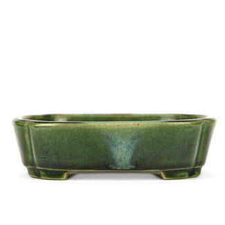  Satomi Mazan, Mazan Terahata 165 mm oval green bonsai pot by Terahata Satomi Mazan, Tokoname, Japan