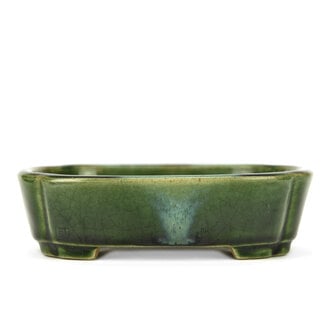  Satomi Mazan, Mazan Terahata Vaso bonsai ovale verde da 165 mm di Terahata Satomi Mazan, Tokoname, Giappone