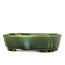 Oval green bonsai pot by Terahata Satomi Mazan - 165 x 125 x 45 mm