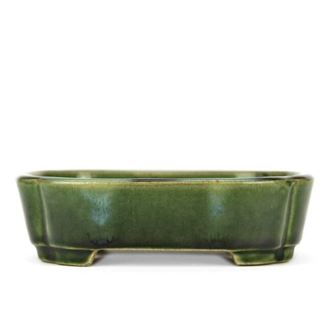 Vaso bonsai ovale verde di Terahata Satomi Mazan - 165 x 125 x 45 mm