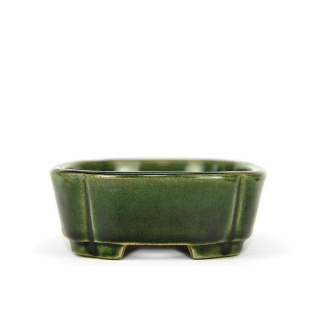 Vaso bonsai ovale verde di Terahata Satomi Mazan - 165 x 125 x 45 mm