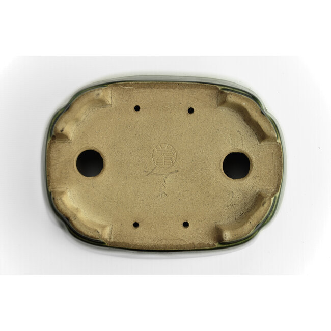Pot à bonsaï ovale vert par Terahata Satomi Mazan - 165 x 125 x 45 mm