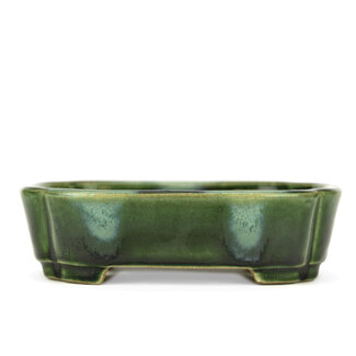  Satomi Mazan, Mazan Terahata 165 mm oval green bonsai pot by Terahata Satomi Mazan, Tokoname, Japan